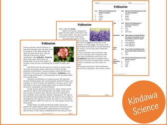 Pollination Reading Comprehension Passage and Questions - PDF