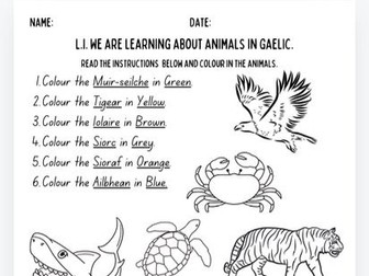 Scottish Gaelic animals and colours worksheet