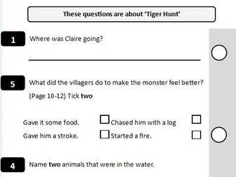 SATs Reading Questions Template