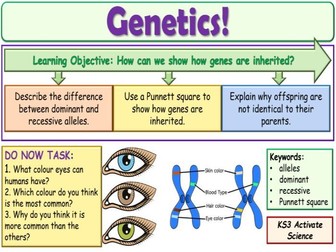 Genetics KS3 Activate Science