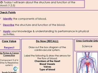 Edexcel GCSE PE - Component 1 - Topic 1 - Lesson 13 - Blood