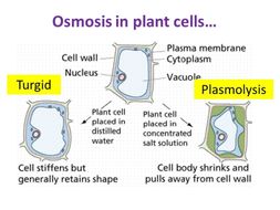 Complete OCR Biology Module 2.1.5 Membranes Lessons