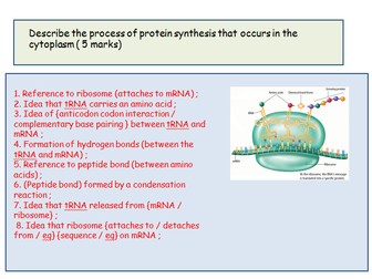 Edexcel A level Revision resource