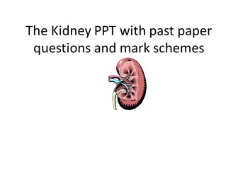 AQA- A2- The Kidney and ADH
