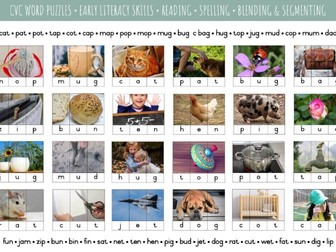 3 Letter CVC word puzzles