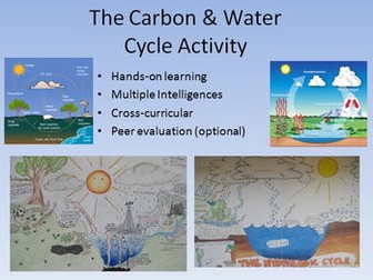 Water and Carbon Cycle Diagram Activity - Bring out their creativity!