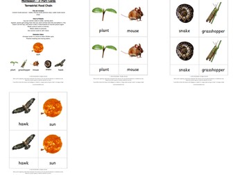 Montessori 3-Part-Cards - Food Chain - Terrestrial