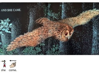 Owl Babies story with widget symbols