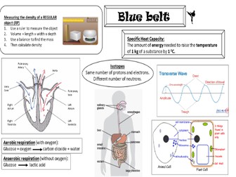 AQA Synergy Life & Environment karate revision