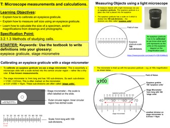 3.3 Microscopic measurements and calculations [for AQA A Level Biology]