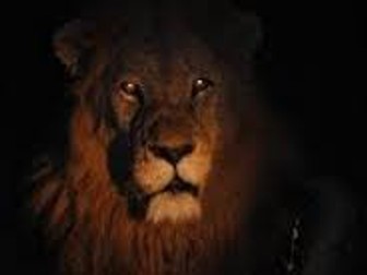 A Lion in the Night Readers' Theatre Script & Rubric