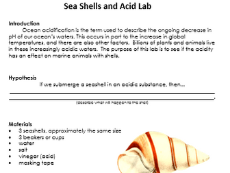 Sea Shells in Acid Lab Experiment
