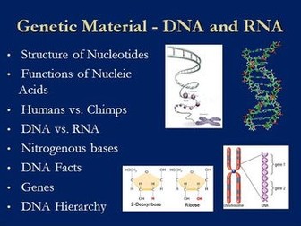 facts about nucleic acids