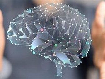 NEUROPEDAGOGY  APPLIED TO   ELT