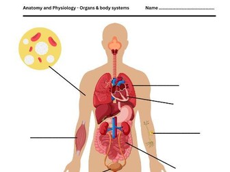 Organs and body systems - labelling activity