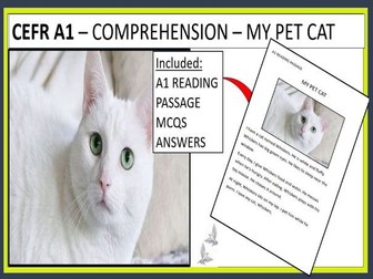 CEFR A1 - COMPREHENSION - MY PET CAT