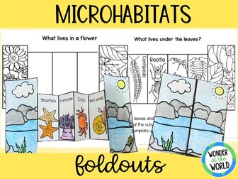 Microhabitat foldable activity KS1 for 3 microhabitats rockpool flower bed and leaf litter