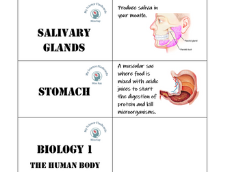Biology 1 - The Human Body - Key Words FLASHCARDS - AQA Entry Level Certificate