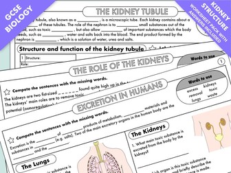 **NEW** GCSE Biology: Excretion, the Kidney and Kidney Failure