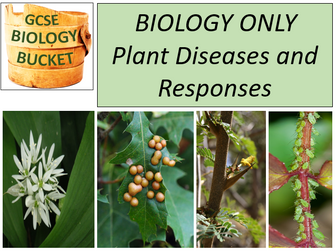 AQA GCSE Biology: plant diseases and responses to predators and pathogens