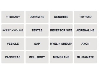 AQA Psychology Biopsychology Connections Games (NEW SPEC)