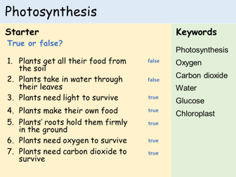 KS3 Plants - Lesson 6 - Photosynthesis