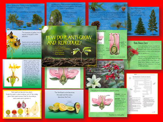 Plant Growth, Reproduction and Life Cycle Lessons with Interactive Student Notebook Lessons