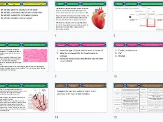 Level 3 BTEC Applied Science Unit 5 Biology Cardiovascular System