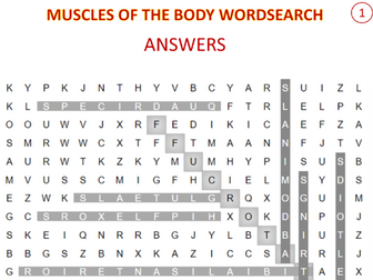 AQA GCSE PE MUSCLES WORDSEARCHS