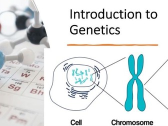 Introduction to Genetics