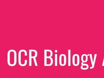 B3 Revision Resource for Biology OCR Gateway A and Combined Science.