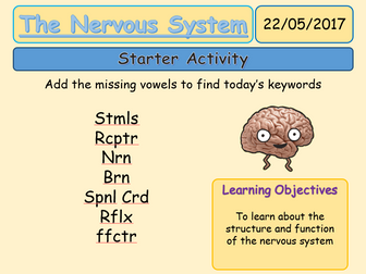 The Nervous System and Reflexes