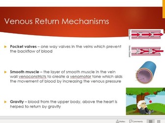 Venous Return Mechanisms Lesson - A-Level