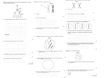 Meiosis and mitosis summary