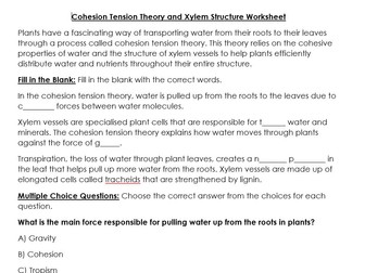 Cohesion Tension Theory & Xylem Worksheet