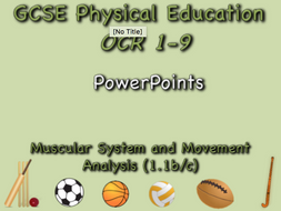 GCSE OCR PE (1.1b/c) Muscular System and Movement Analysis - PowerPoints