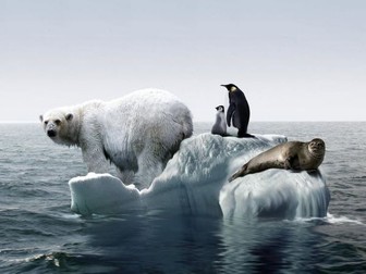 Global Warming and Endangered Species (4 lessons)