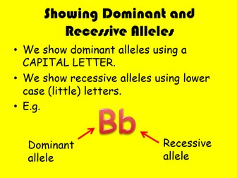 Edexcel CB3 SB3 Alleles Complete Lesson - GCSE Biology/ Combined Science