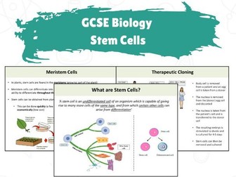 GCSE Biology - Stem Cells