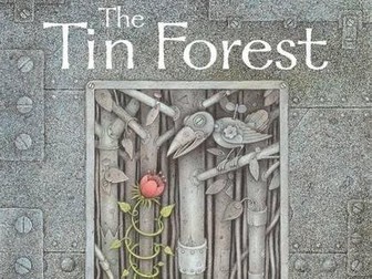 Year 2 English Planning - The Tin Forest - Adventure Story Writing