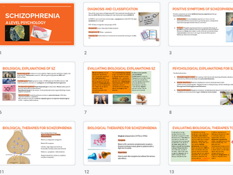 Psychology schizophrenia revision cards