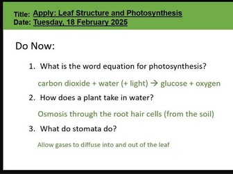 Apply - Leaf structure and Photosynthesis