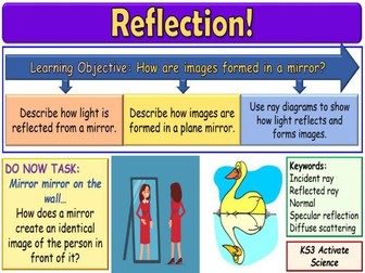 Reflection KS3 Activate Science