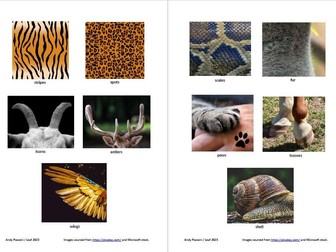 EAL: Animal body parts-intermediate P3 and P4