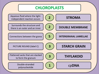 Topic 5.1: Photosynthesis (AQA A-level Biology) | Teaching Resources