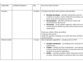 Organelle table worksheet for A-level Biology