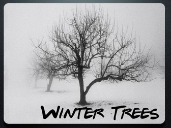 Winter Trees - Art Drawing - Line