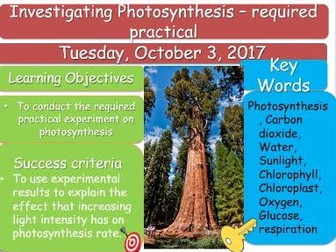 AQA B2 Photosynthesis - 10 lessons with resources