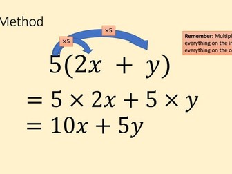 Differentiated expanding single brackets lesson and homework
