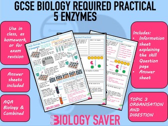 GCSE Biology Practical - 5 Enzymes